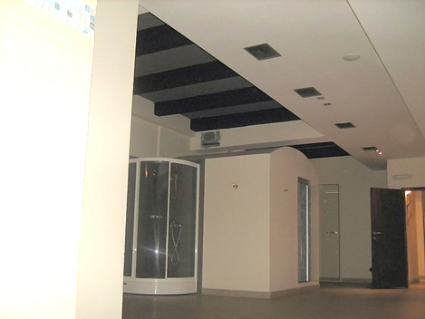 Adaptacija, spusteni plafoni, pregradni zidovi